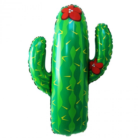Cactus Cactus